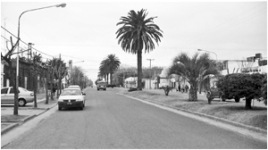 La tranquilidad de sus calles y bulevares con sus añejas palmeras caracteriza a la pintoresca localidad de Peyrano